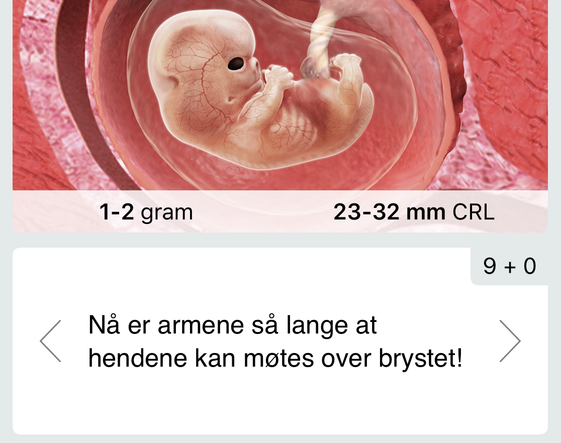 Skreddersydd innhold